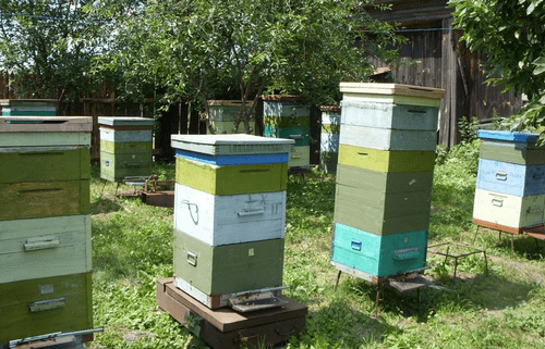 улики для пчел