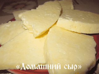 Сыр в домашних условиях