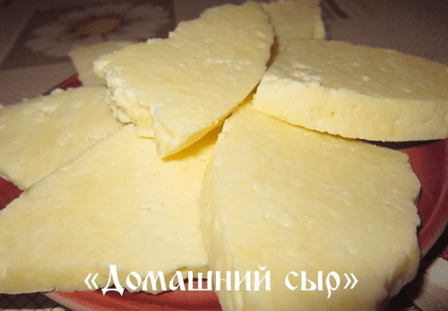 домашний сыр домашний сыр