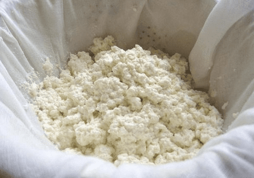 приготовление сыра из кислого молока приготовление сыра из кислого молока