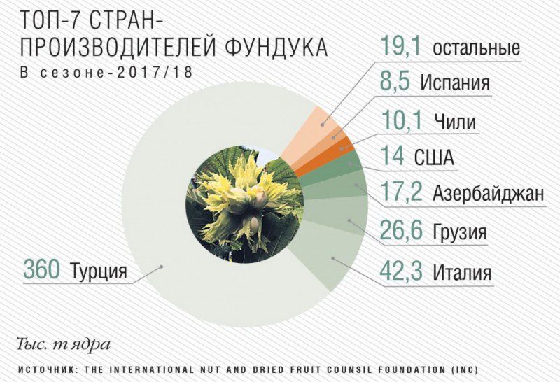 7 крупнейших стран-производителей фундука