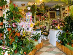 бизнес план цветочного магазина