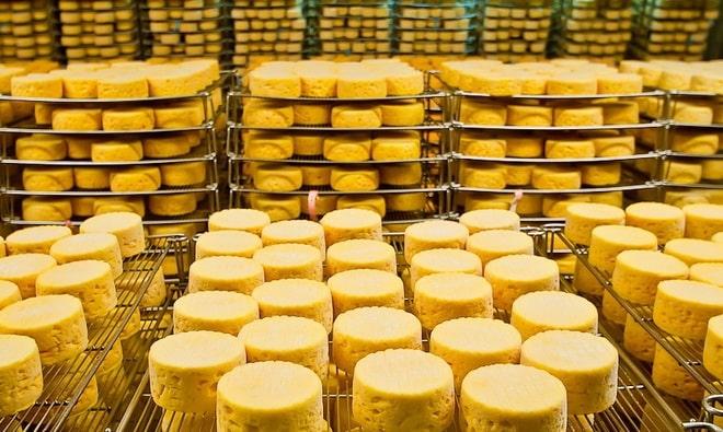 Оборудование для производства сыра