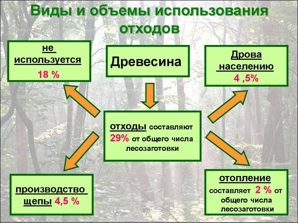 Виды древесных отходов